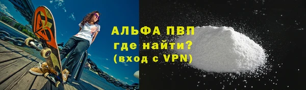 стаф Алексин
