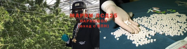 стаф Алексин