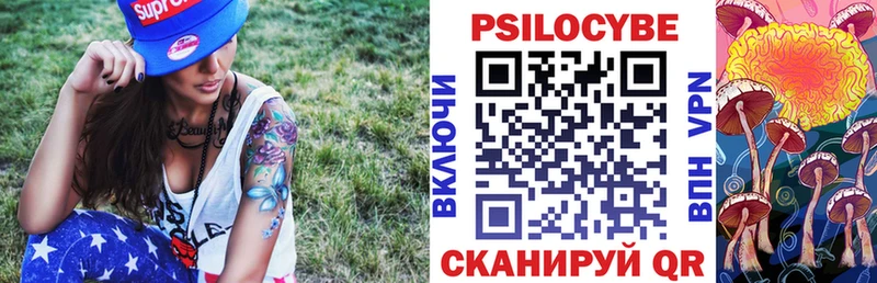 МЕГА tor  купить наркотики цена  Кирсанов  Галлюциногенные грибы Psilocybine cubensis 